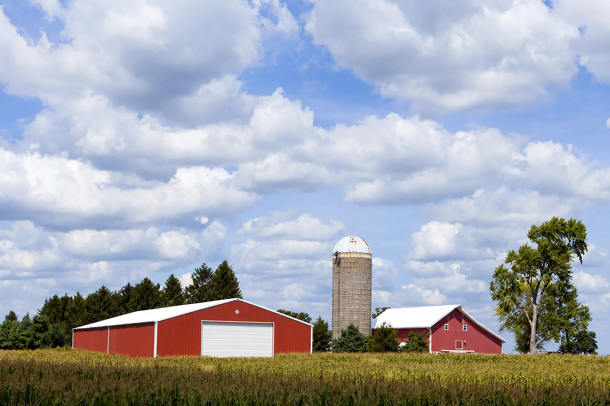 images/gallery-pulse-600-series/06-farm-house-doors.webp images/gallery-pulse-600-series/06-farm-house-doors.webp